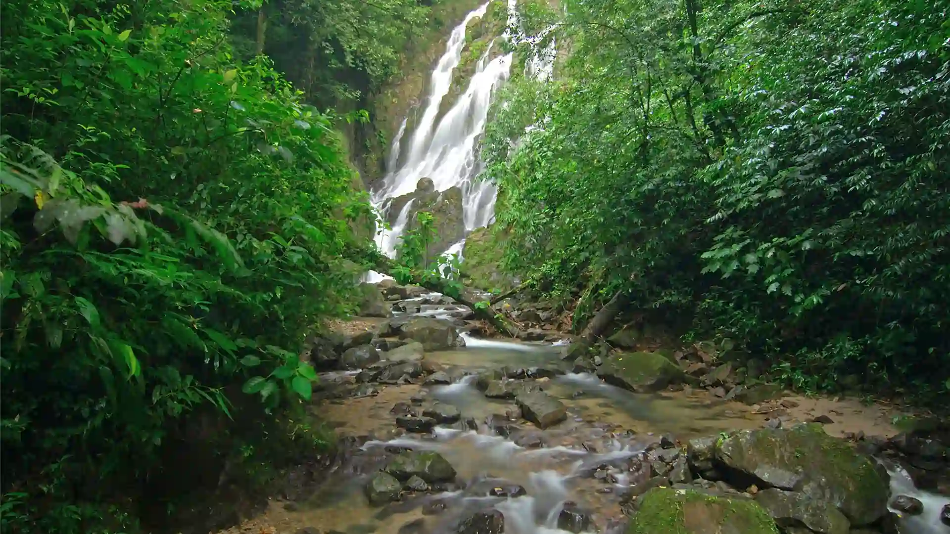 gpt-chorro-el-macho-1