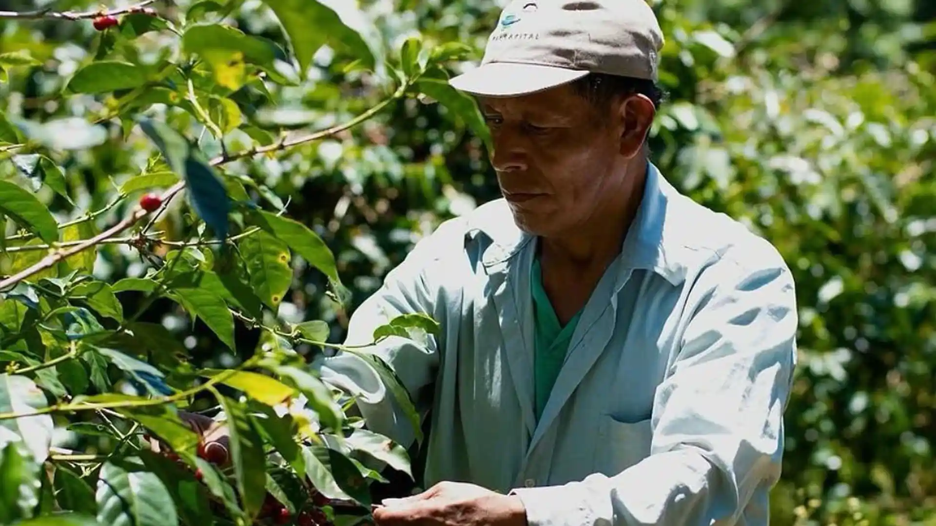 gpt-chorro-el-macho-4