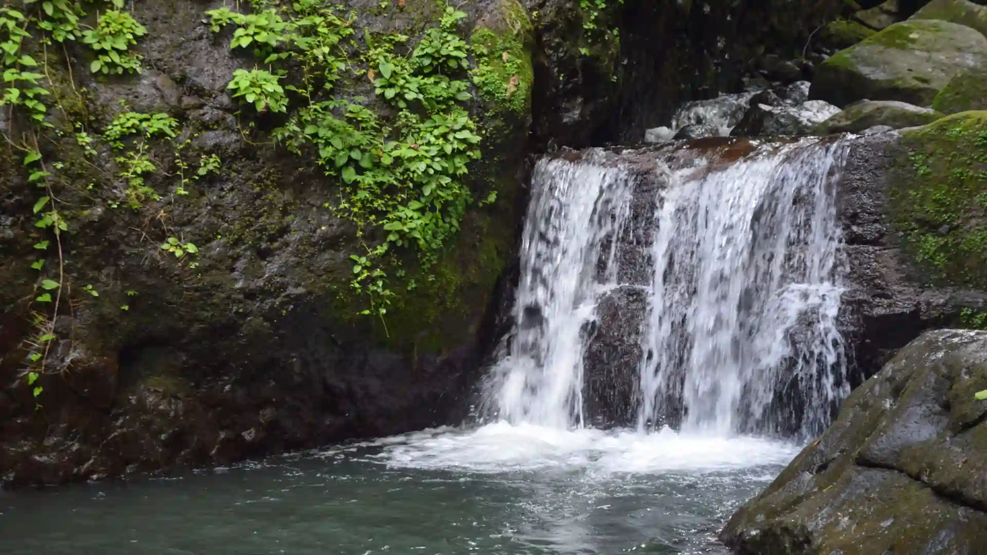 gpt-india-dormida-w-3